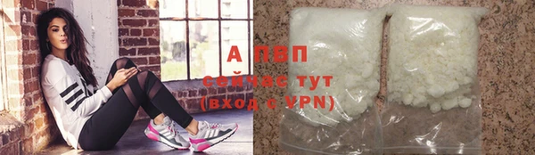 СК Надым