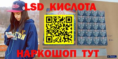 кокс Гатчина