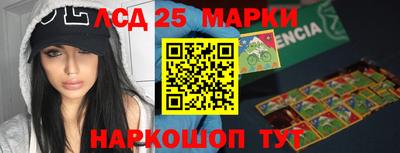 кокс Гатчина