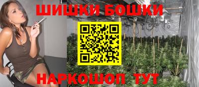 кокс Гатчина