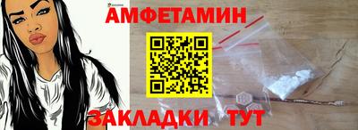 кокс Гатчина