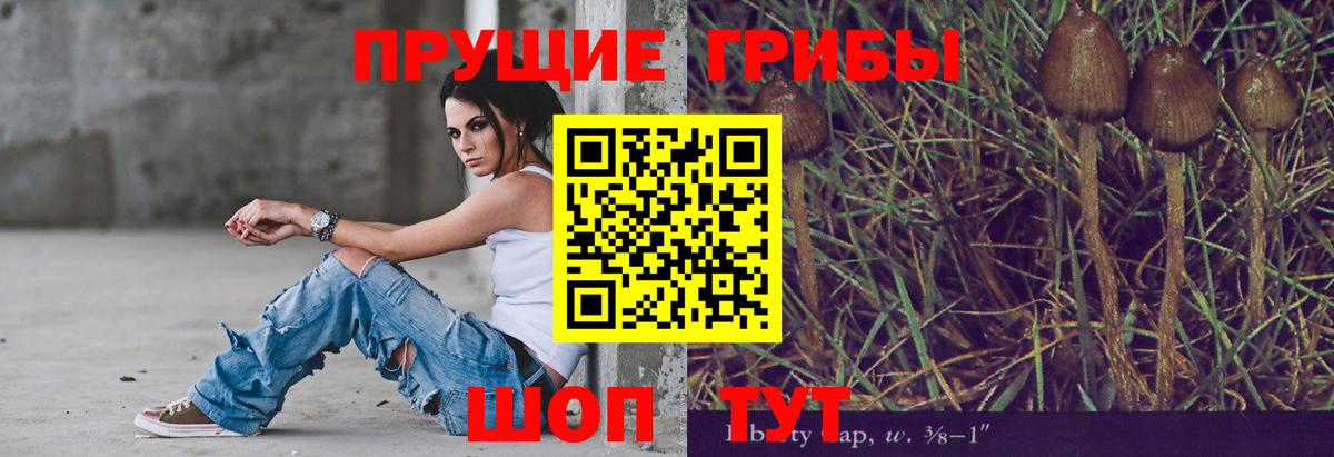 Псилоцибиновые грибы Psilocybe  Вход с VPN  Дубна 