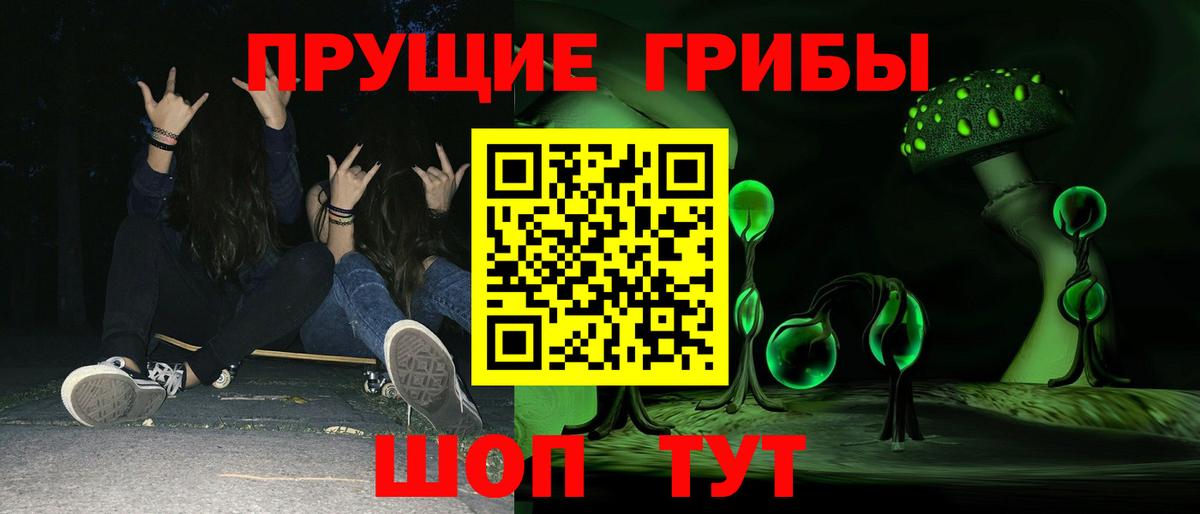 Галлюциногенные грибы GOLDEN TEACHER  Дубна  Псилоцибиновые грибы MAGIC MUSHROOMS 